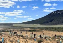 What’s on in Port Lincoln and surrounds