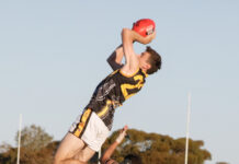 Mallee Park gets Tiger revenge