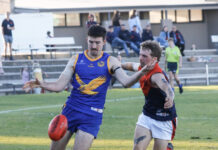 Wayward Eagles cruise home