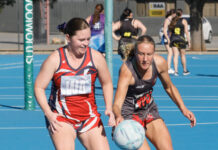 Tasman Imperial holds off Wayback challenge