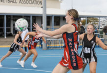 Wanilla too good for Wayback