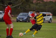 South Coast downs undermanned Knights