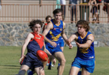 City determined to take out Norwood Cup