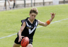 Districts gunning for number four