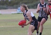 Gunning to regain shield