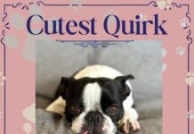 And the winners are…