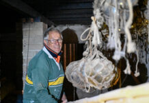 Fishing history discovered