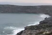 Whalers heritage under review