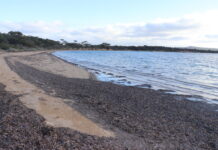 Bays forced to close