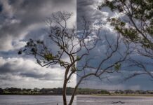 Big Swamp: before and after recent rain