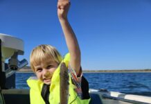 Widespread whiting to catch