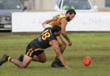 Fast start propels Tigers to points