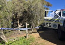 Human skull found in search for remains