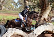 Pleasant winter hunt at Marble View