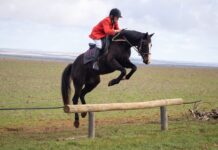 Lush crops welcome hunters to Cleve