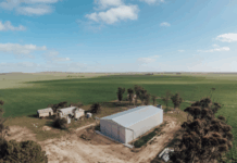 Cockaleechie for custom sheds