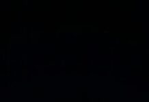 School sharks on the hook