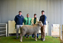 Brimanna quality on show despite conditions