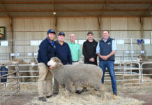 Collandra North pointing in right direction