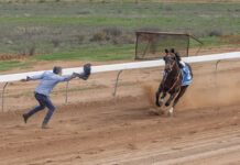 Courageous Darryl averts disaster