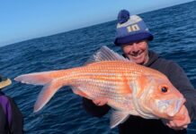 The Group firing once again