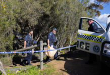 Police complete search after skull discovery