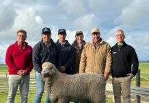 Bright start to new era