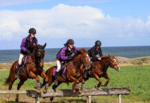 Red-coated horses and riders take on hunt