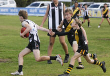 Port Lincoln sport: August 16 | GALLERY