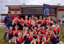 Two in a row for Wayback