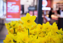 Flowers of hope for cancer research