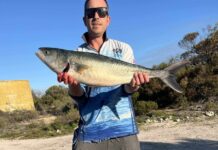 Salmon a popular catch