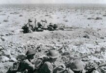 The Siege of Tobruk and the Tobruk Fig tree