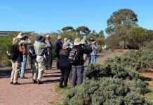 The annual Aussie Bird Count is coming