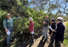 Spring walk protecting native vegetation