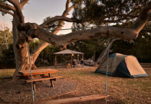 Spring adventures await at Camp Nyroca