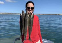 Salmon caught along coast