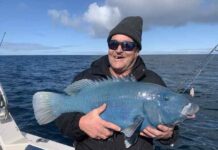 Big whiting being reported