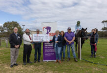 Riding for the Disabled receives grant for much-needed works