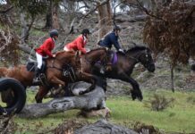 Thrills and spills at final hunt
