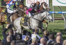 Ice, Ice Baby: Sav on Ice claims Balaklava Cup