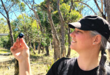 What’s on in Port Lincoln and surrounds