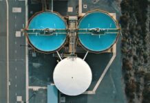 Brine, bloom and science