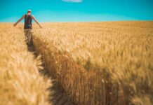 Bunge harvest jobs available