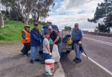 Lions do their bit to clean up