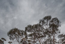 Launching into Varda deal