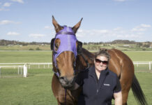 Trifecta for Lincoln trainers