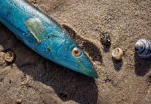 Rec fishers restricted