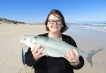 Full steam for summer fishing