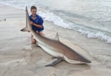 Whiting reach big lengths